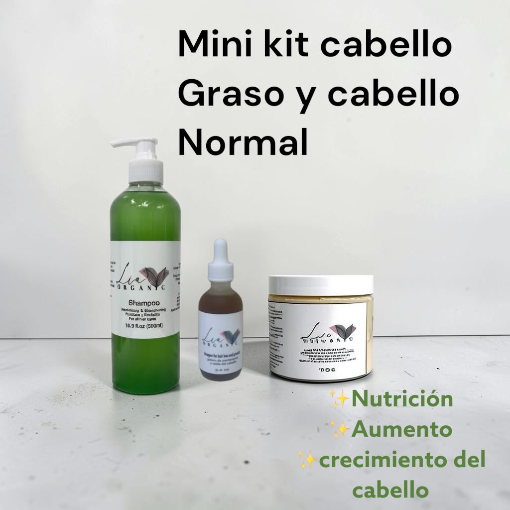 Mini kit cabello seco